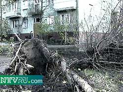 Последствия урагана в Калининградской области